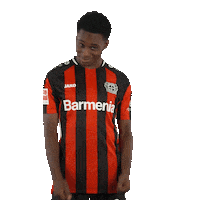 Party Dancing Sticker by Bayer 04 Leverkusen