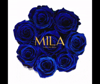 MILAROSESOFF heart mila red heart flowerbox GIF