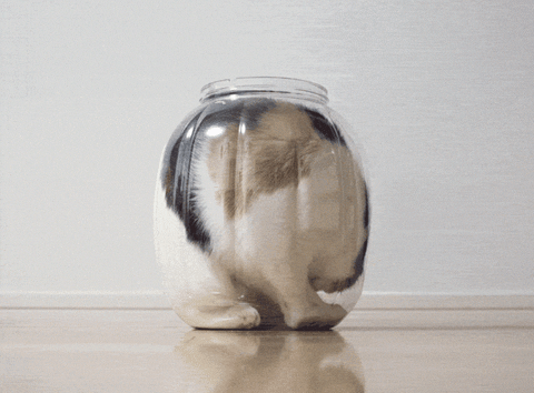 bored GIF