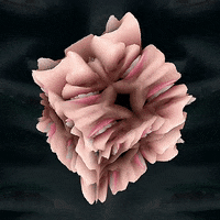 Art Morph GIF by Aleksey Efremov