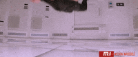 Tom Cruise GIF by CBS