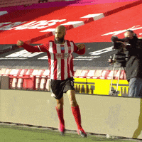Premier League Win GIF by Sheffield United Football Club