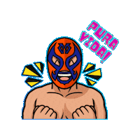 Costa Rica Wwe Sticker by Guerrero Maya