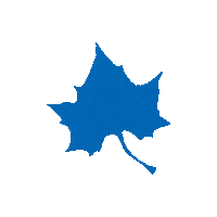 isumarketing leaf sycamores indianastate Sticker