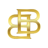 BeauBeerens shoes schoenen beau beerens beaubeerens Sticker