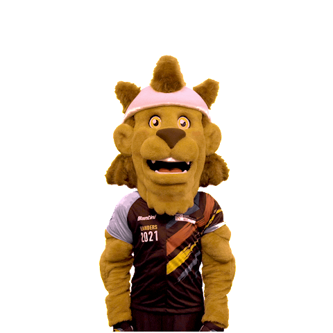 Celebration Win Sticker by Flanders 2021
