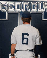 Georgia Tech Baseball GIF by Georgia Tech Yellow Jackets