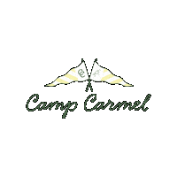 theproperstitch needlepoint ndlpt campcarmel theproperstitch Sticker