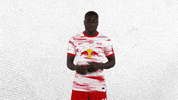 Dont Like Oh No GIF by RB Leipzig