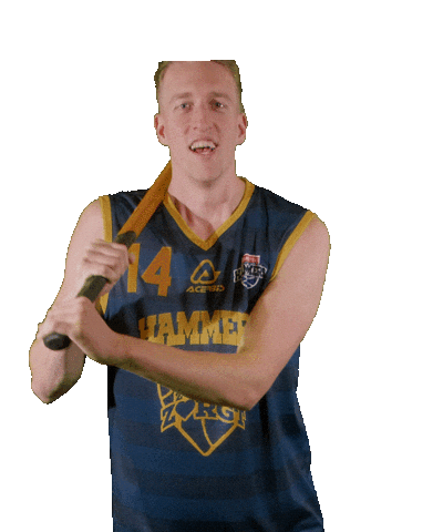 Basketball Center Sticker by Landstede Hammers