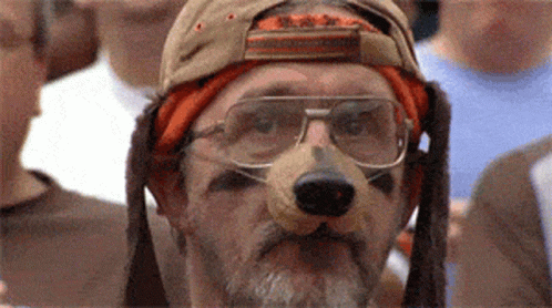 Browns GIF by memecandy