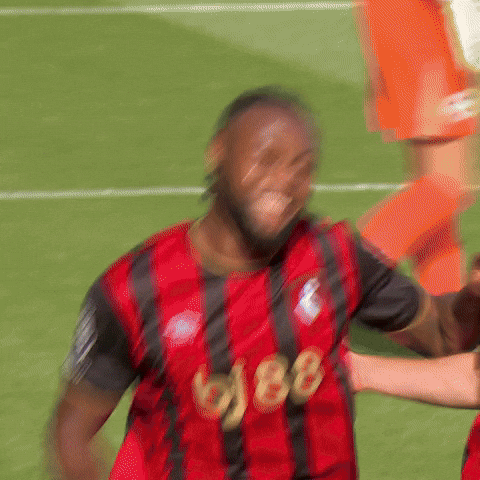 Happy Premier League GIF by AFC Bournemouth