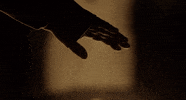 GIF by The Cleanse