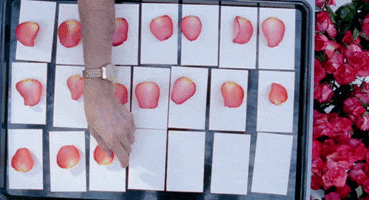 petals GIF by NOWNESS