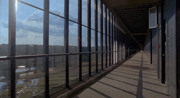 art flowers GIF by NOWNESS