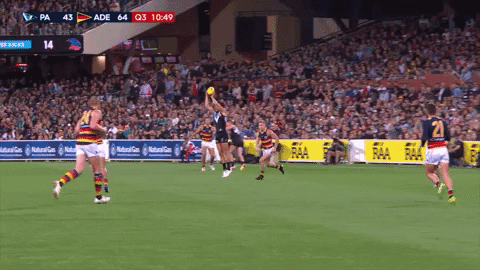 Afl Memories GIF by Adelaide Crows