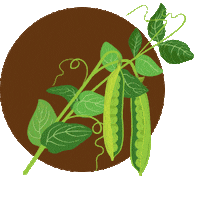 Vegan Plant Sticker by PRO-MIX Gardening