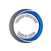 20 Year Anniversary Sticker by Capture Integration