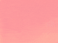 Mark Troll GIF