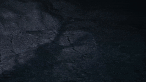 Co-Op Magic GIF