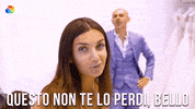 discoveryplusit discovery lamborghini discoveryplus discoveryplusit GIF