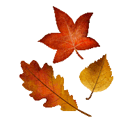 Autumn Leaves Fall Sticker by SoulRoboX s.r.l.