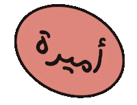 Hamzatwaslnames Ameera Sticker