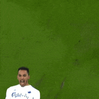 Cheering Sliding GIF by F.C. København