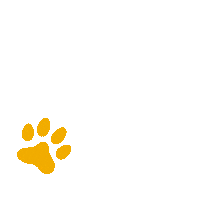 Paws Superorange Sticker by KUNKAY