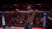 Mixed Martial Arts Sport GIF by UFC