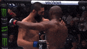 Mixed Martial Arts Sport GIF by UFC