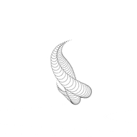 processing GIF by Patakk