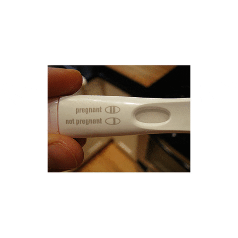 artists on tumblr no GIF