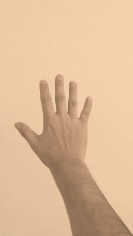sergio9325 giphygifmaker reflection hand gesture GIF