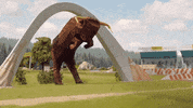 redbullracing animation drink phone f1 GIF