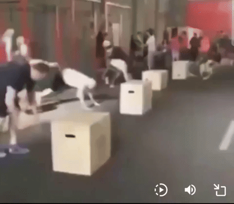 Curralzinhogg muulinha testezinho pulandoexercicio GIF