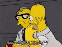 homer simpson GIF