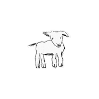 8winterlee animal goat 동물 babygoat Sticker