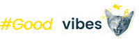 Good Vibes Immobilier Sticker by Dohm