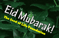 Happy Holiday GIF by The Seed of Life Foundation