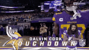 Minnesota Vikings Football GIF by NFL
