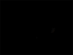 Ciro GIF by ciroylospersasoficial