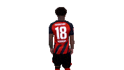 Turn Sge Sticker by Eintracht Frankfurt