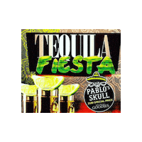 pablosskull party mexico amazing energy Sticker