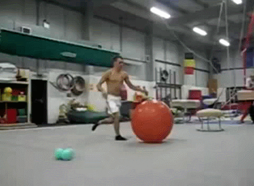 vs reality GIF