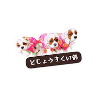 Dogs Cavalierkingcharlesspaniel Sticker