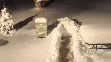 Man Clears Snow Piles for Birds as Winter Storm Hits the Midwest