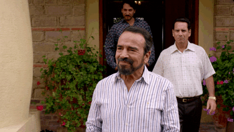 netflix giphyupload welcome to cali GIF