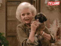 Golden Girls Dogs GIF by TV Land