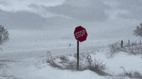 Gusty Winds and Snow Blast Nebraska